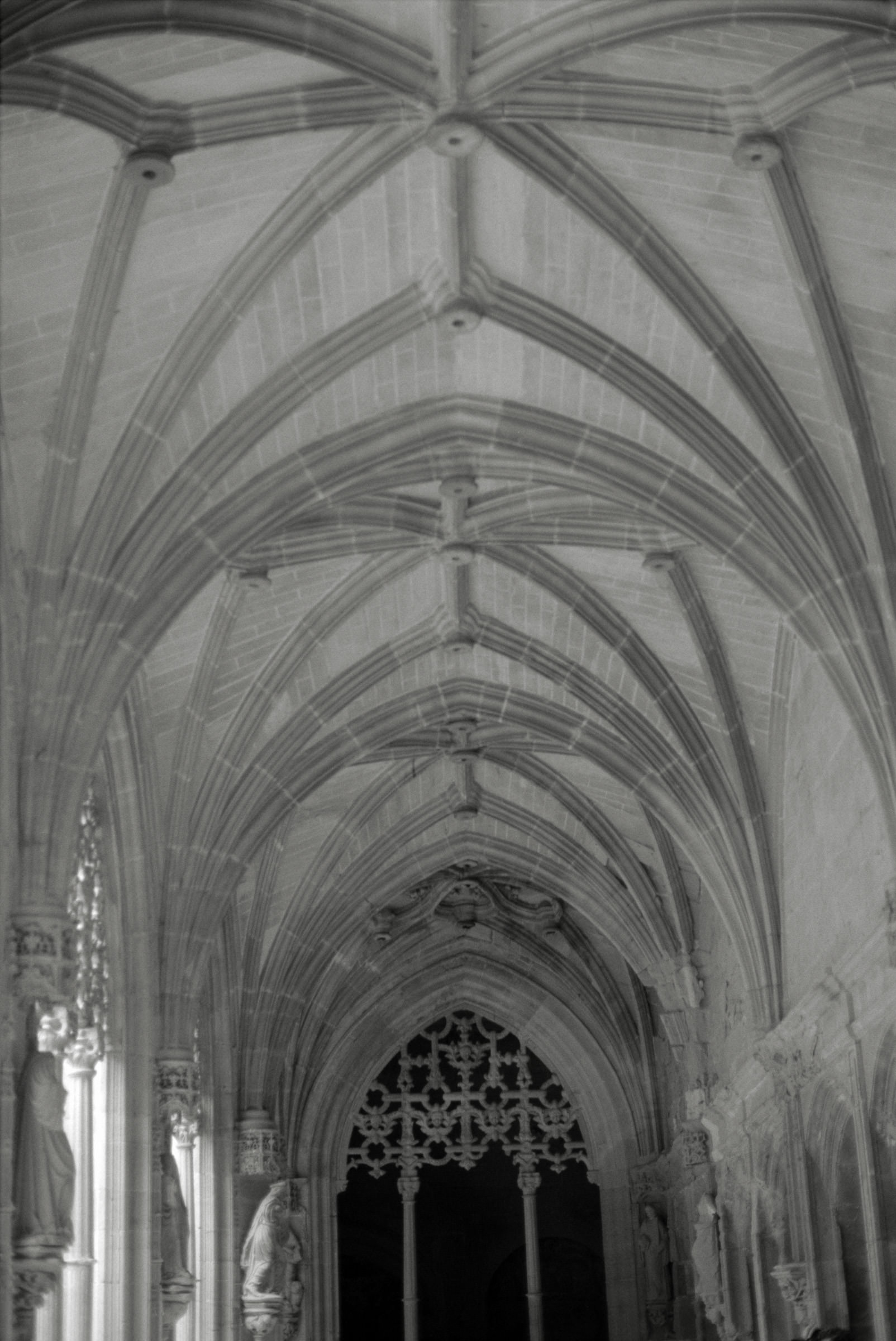 AHP F1995 05 008 sc240826 img04 NLP